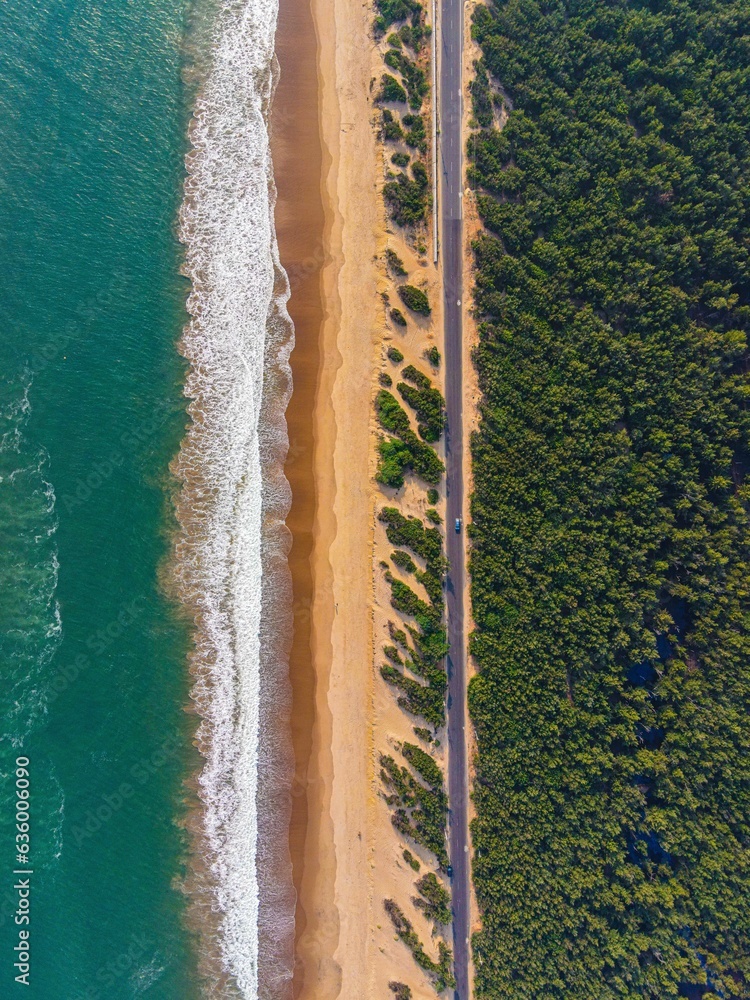 Beautiful vertical view of a road with trees and beach during sunrise