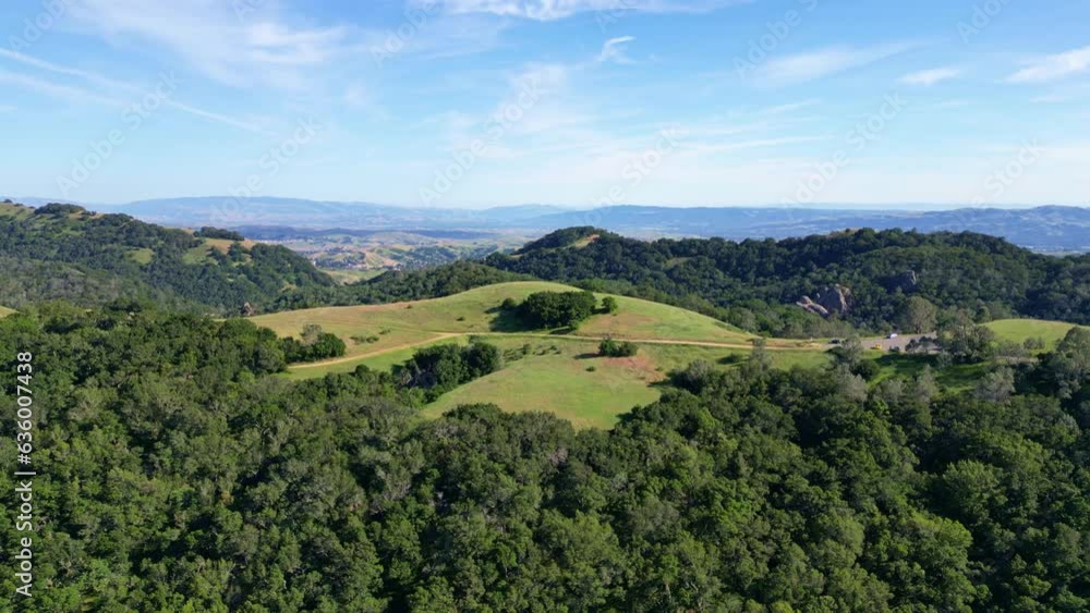 Landscape scene of forest trees on green ridge hills under blue sky, for wallpaper