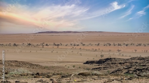 Scenic view of the Namib desert on a sunny day