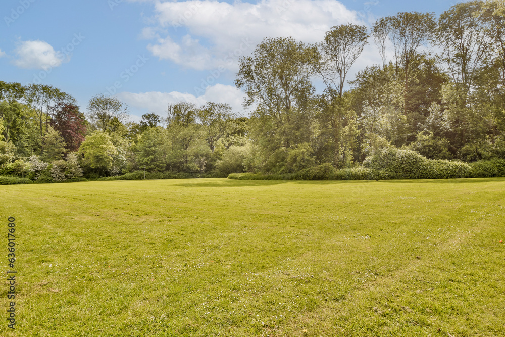 a grassy field with trees in the background and clouds in the blue sky over the green grass on the ground a grassy field with trees in the background and clouds in the blue sky over the green grass on the ground