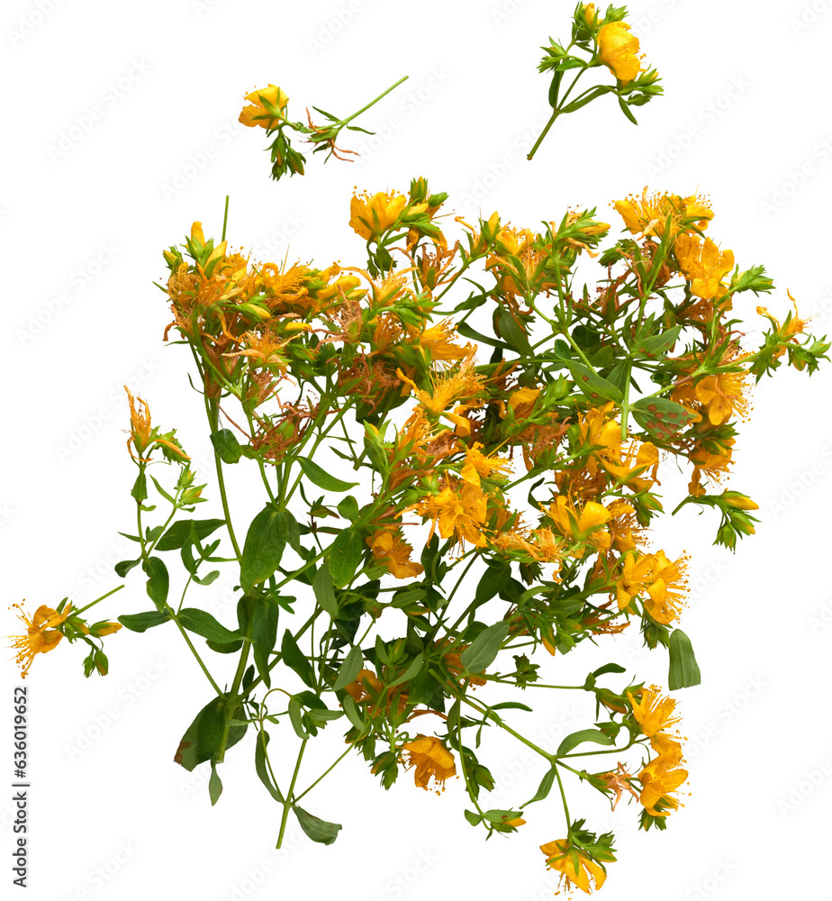 Obraz premium LAYER-LAB_0906200589_LC