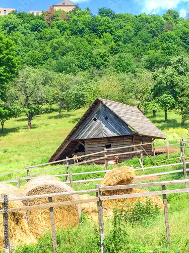 House about sheep and hay, behind ruin of Tochnik Castle. Old stronghold, Czech photo