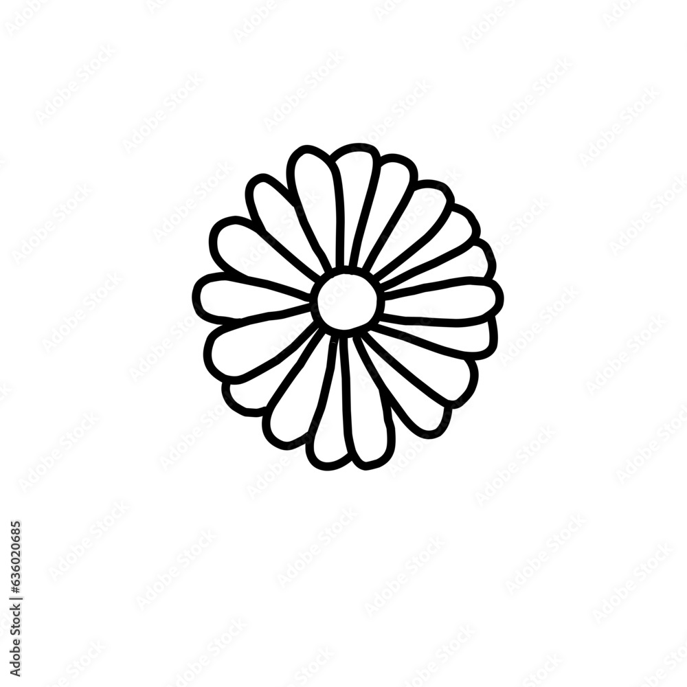 A set of hand drawn doodle style daisy flowers in simple black line