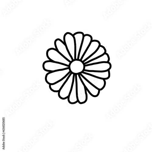 A set of hand drawn doodle style daisy flowers in simple black line