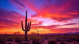 The colorfully lit sky and saguaro silhouette signifies the Southwest