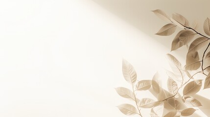 Minimalistic concept photography for blogging featuring beige monochrome backdrop or screensaver with abstract natural leaf shadows on a white wall. silhouette concept