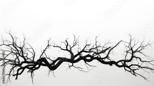 Dead tree silhouette on white backdrop