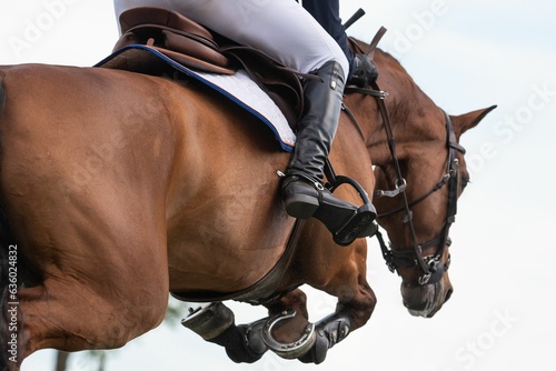 Closeup of a horse jumping over an obstacle during an equestrian show © Marcin Kilarski/Wirestock Creators