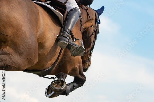 Bilde på lerret Closeup of a horse jumping over an obstacle during an equestrian show