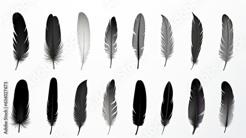 Gorgeous set of black feathers alone on a white backdrop. silhouette concept