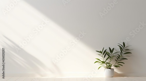 Simple white wall with blurred foliage shadow on light background Perfect backdrop for a presentation on a sleek floor. silhouette concept