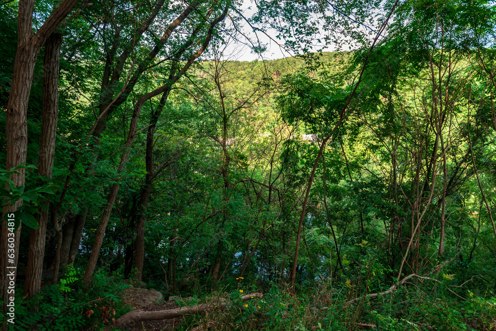 Delaware Water Gap Delaware Water Gap
