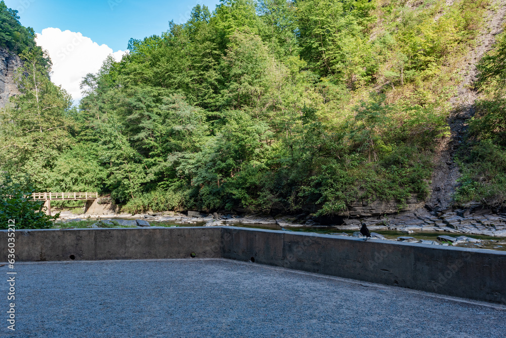 Fototapeta premium Taughannock Falls: Gorge Trail