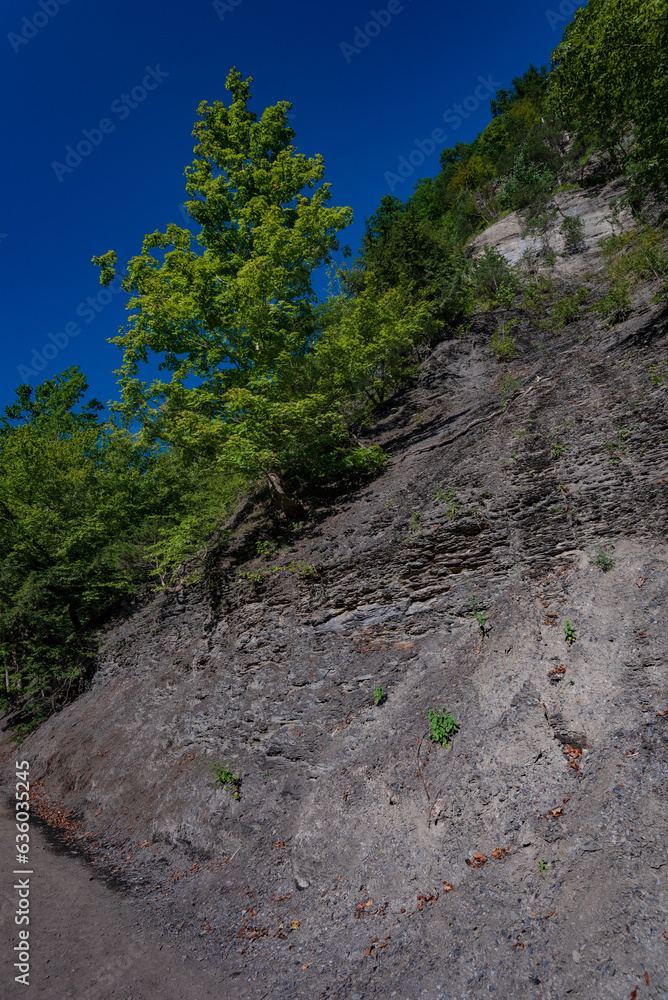 Taughannock Falls: Gorge Trail