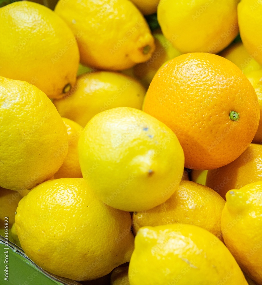 Citrus fruits at the market display stall Citrus fruits at the market display stall