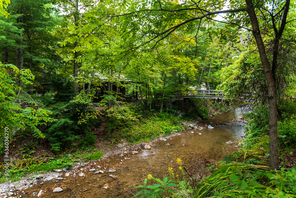 Robert H. Treman State Park: Gorge Trail Robert H. Treman State Park: Gorge Trail