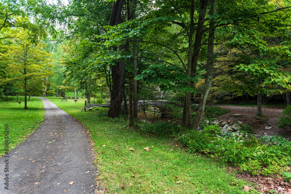 Fototapeta premium Robert H. Treman State Park: Gorge Trail