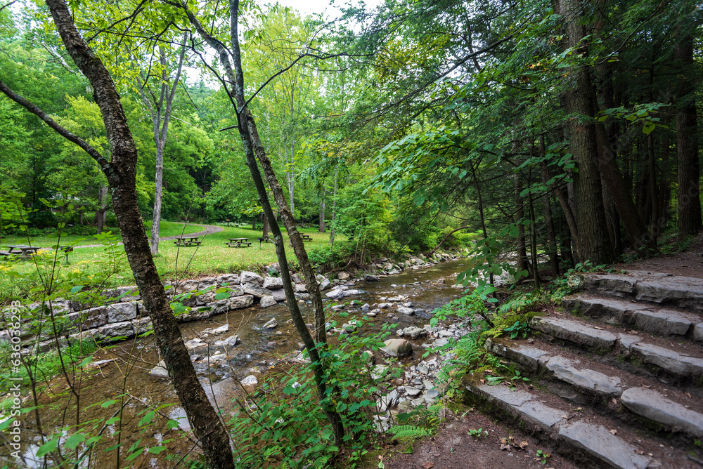Robert H. Treman State Park: Gorge Trail