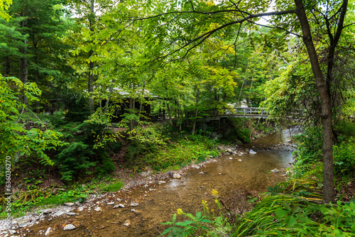 Robert H. Treman State Park  Gorge Trail