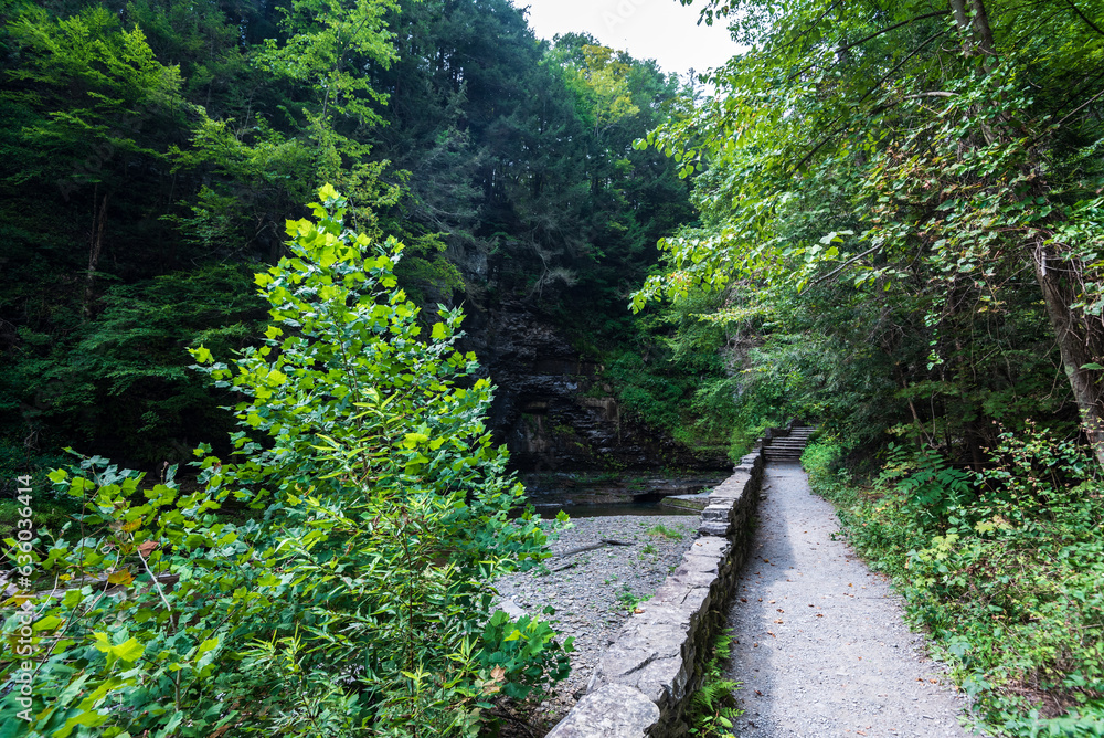 Obraz premium Robert H. Treman State Park: Gorge Trail