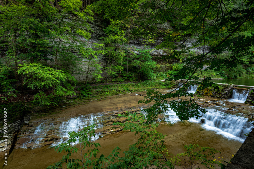 Robert H. Treman State Park: Lower Fals