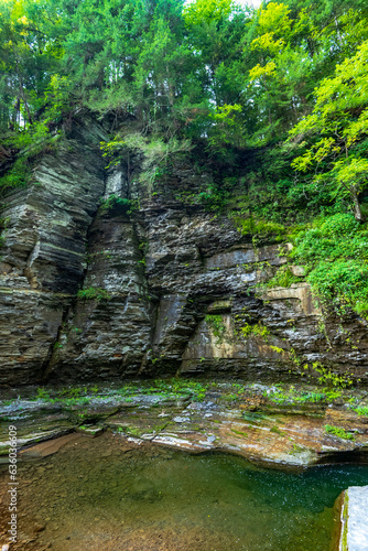 Robert H. Treman State Park  Gorge Trail