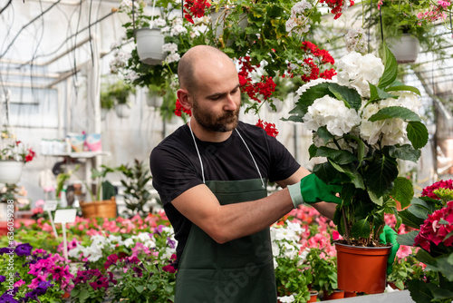 Florist holding flowerpot with white plant