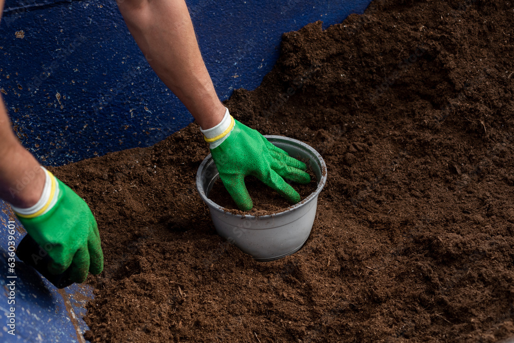 Hands of man in green gloves working with compost Hands of man in green gloves working with compost