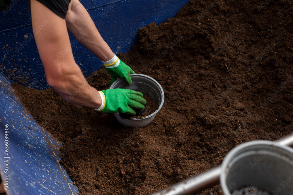 Hands of man in gloves puts black soil inside pot Hands of man in gloves puts black soil inside pot