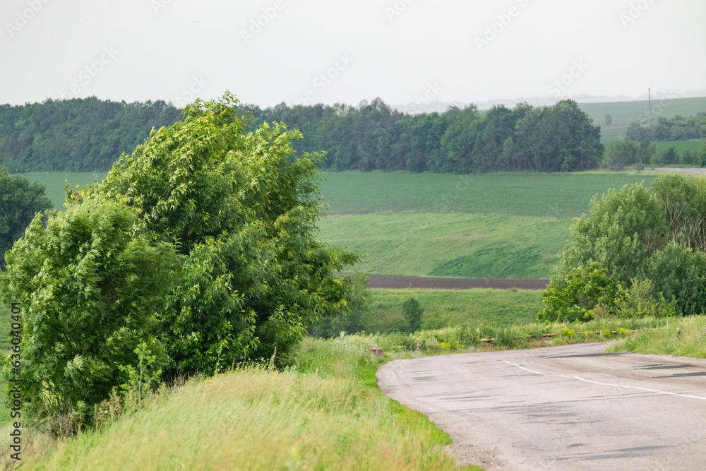 Rural weathered asphalt road driveway in green spring countryside with vivid wheat fields, trees and cloudy gray sky