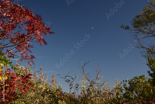 Autumn on Jamaica Bay