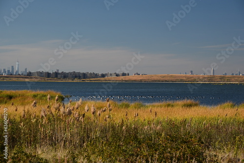 Autumn on Jamaica Bay