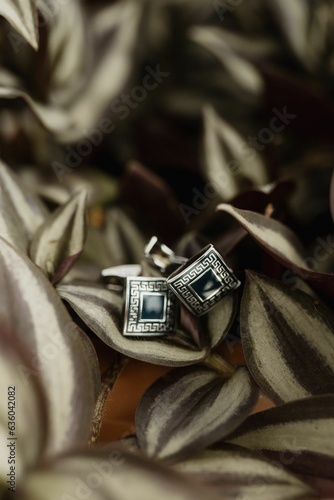 Elegant pair of metal cufflinks resting atop a bed of green foliage