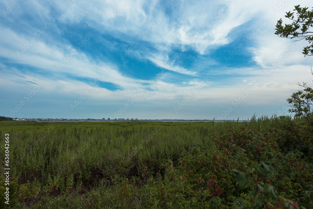 Jamaica Bay Views