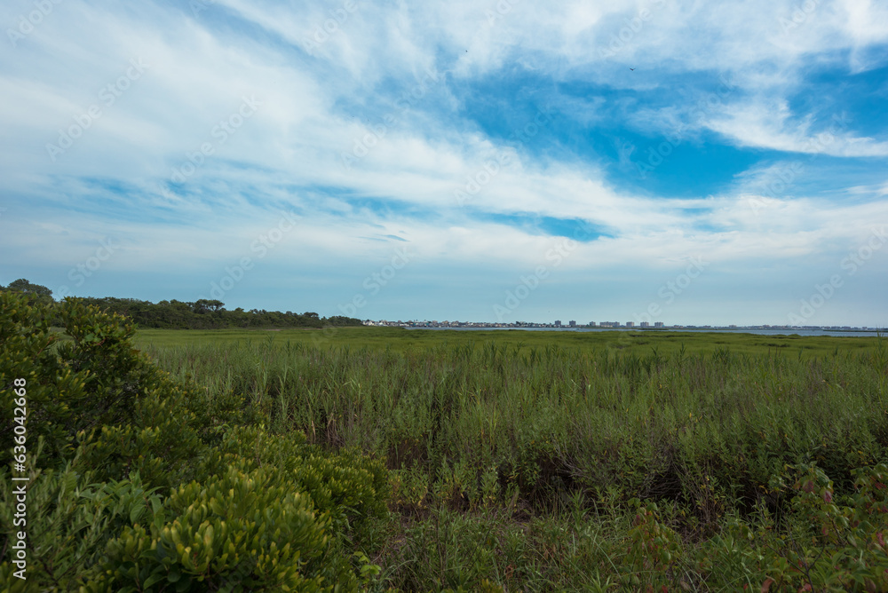Jamaica Bay Views Jamaica Bay Views