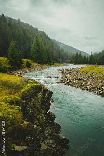 Vertical shot of the flowing Tereblia River near a lush forest in the Zakarpattia Region of Ukraine photo