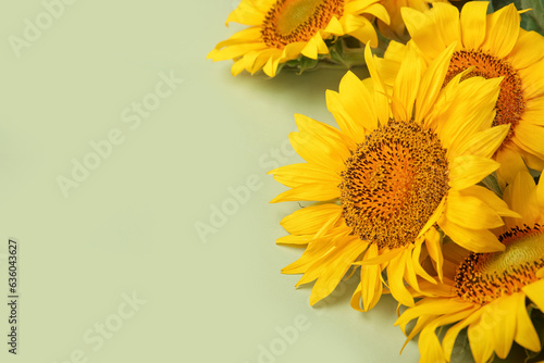 Beautiful sunflowers on gre...