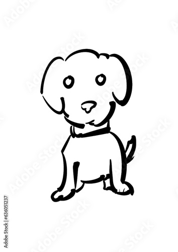 little dog