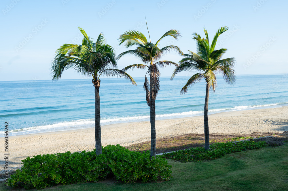 Tropical Paradise Tropical Paradise