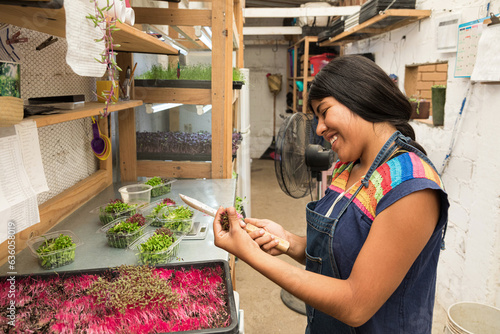 A happy woman working with pink amaranth sprouts microgreens photo