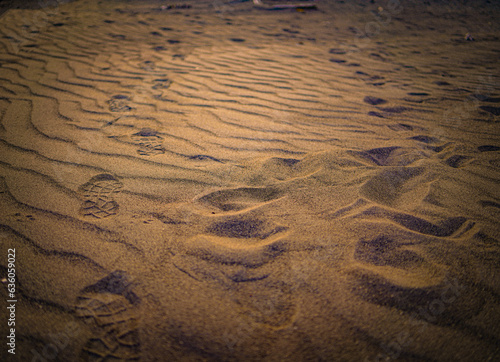 Footprint on the beach