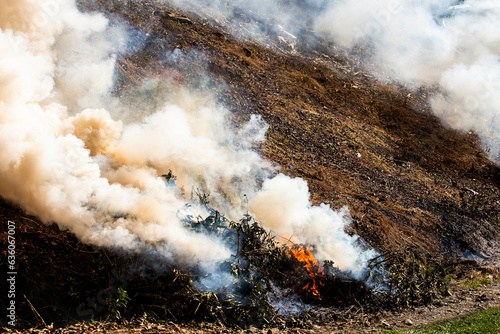 Forest fire in the Colombian mountains - Fire, smoke and contamination