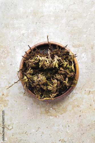 Rose of jericho photo