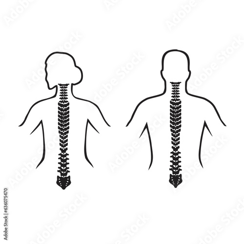 vector in lines of spine backs, man and woman