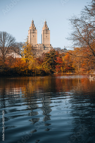 Foliage at Central Park - New York
