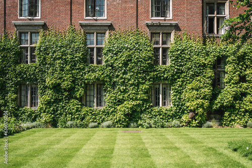 An ivy clad building and immaculate lawn photo