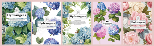 Fotografía Set of Elegant Hydrangeas, Realistic Vector Illustrations of Flowers, Leaves, and Plants for Backgrounds, Patterns, and Wedding Invitations