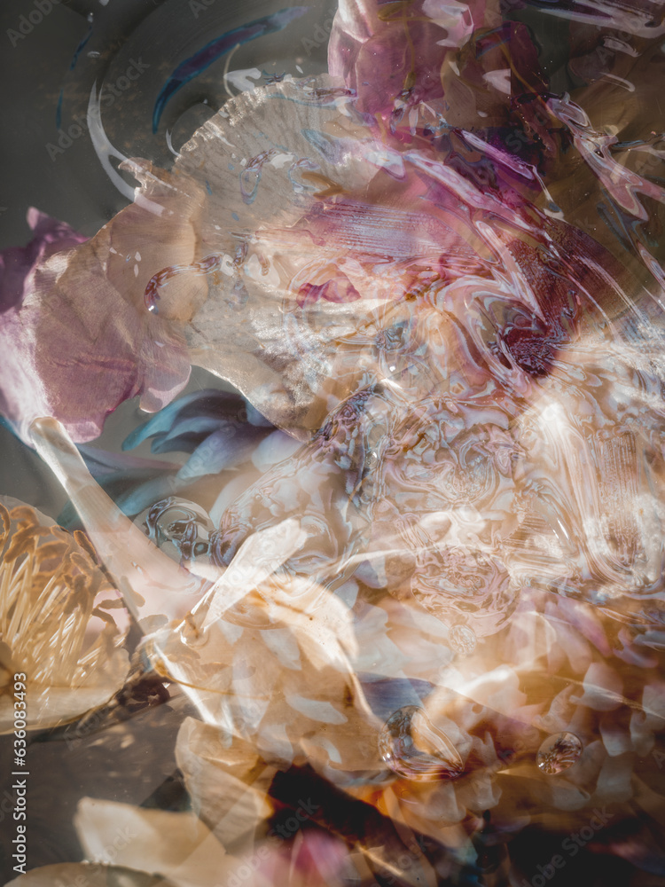 Abstract petal art