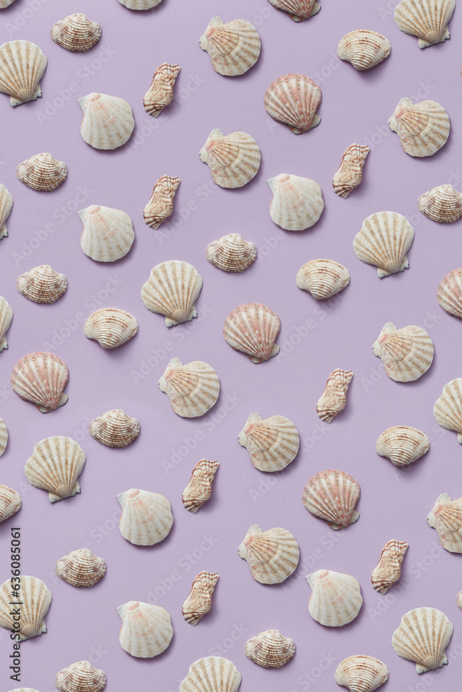 Beautiful sea shells pattern on lilac background. Beautiful sea shells pattern on lilac background.
