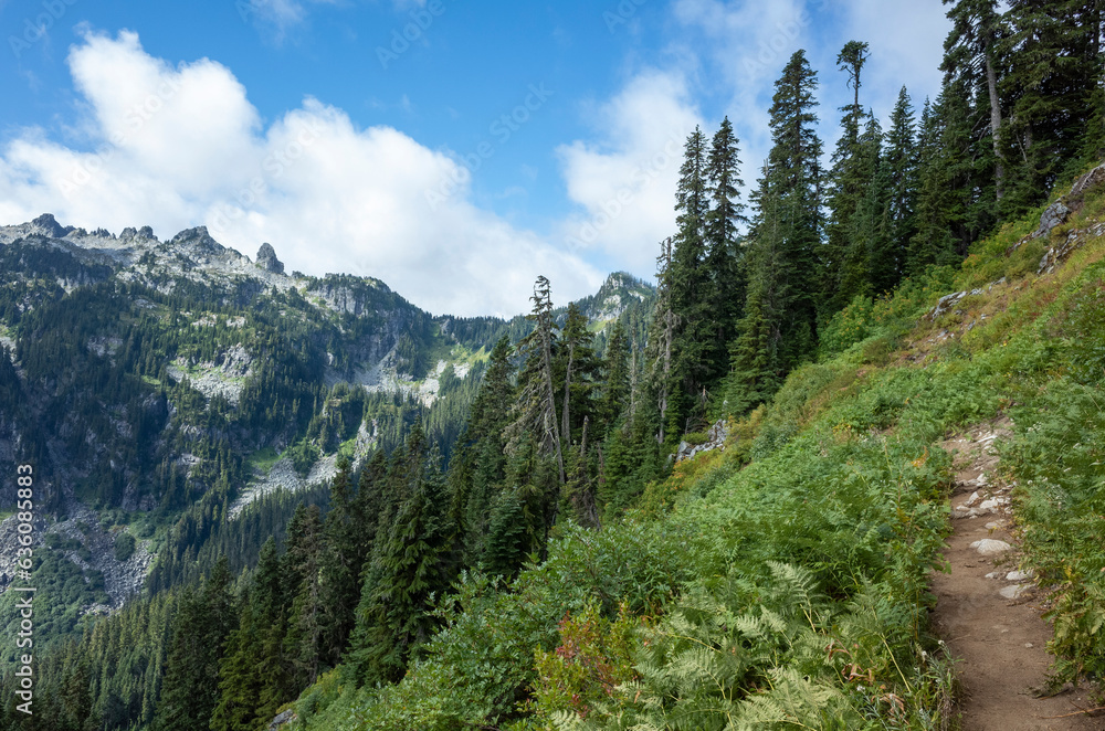 Hiking trail in mountainous, alpine setting, Cascade Range, WA Hiking trail in mountainous, alpine setting, Cascade Range, WA